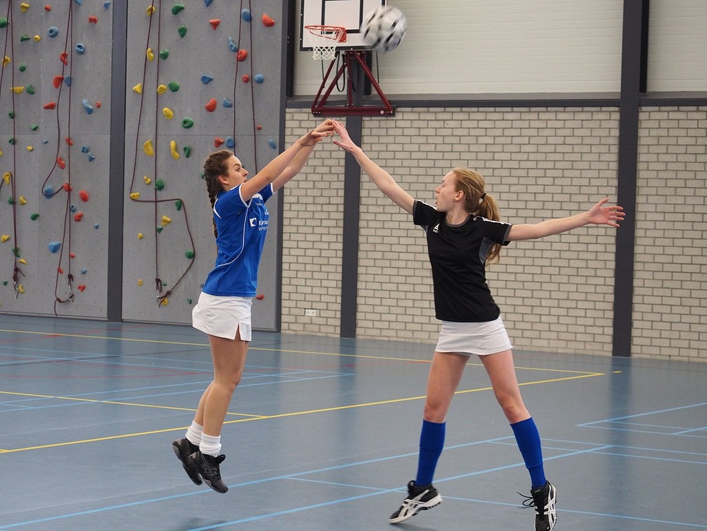 Korfbal A3-13 februari-015.jpg
